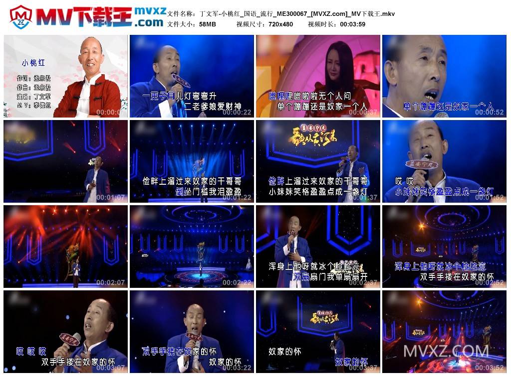 丁文军-小桃红_国语_流行_ME300067